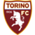 Torino Logo